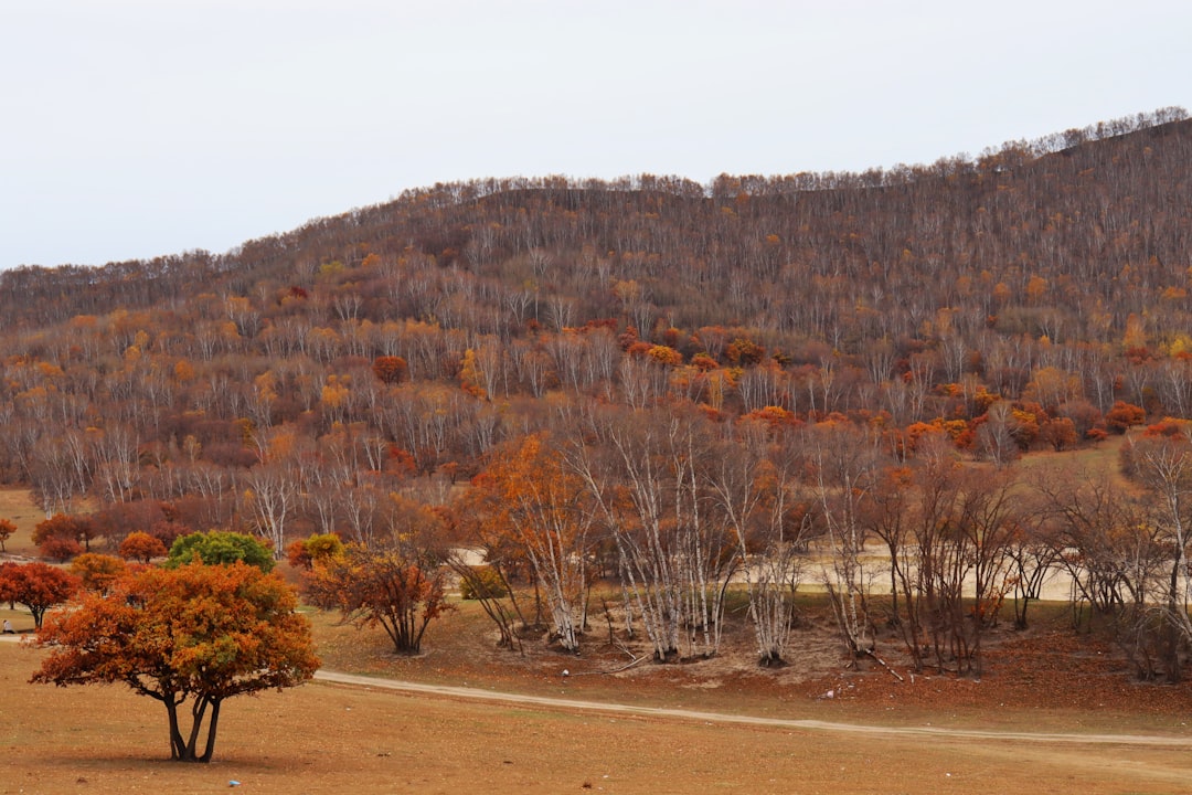 Unconventional Outdoor Adventures: Embrace the Unexpected